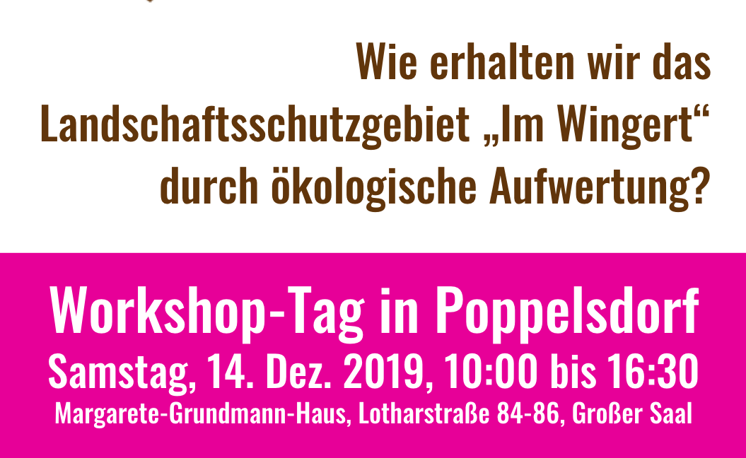 Banner „Workshop-Tag in Poppelsdorf, Samstag, 14.12.2019“